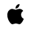 Apple icon